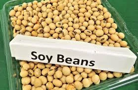 Куплю сою НЕ ГМО, высокое качество, безналичный расчет - фото № 1
