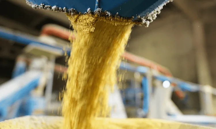 Закупаем НЕ ГМО сою от производителей на постоянной основе - фото № 4