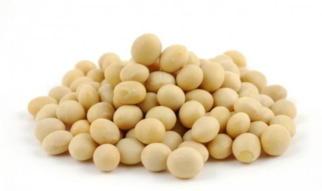 Насіння сої ГМО из Канады - раундапостійка - фото № 2