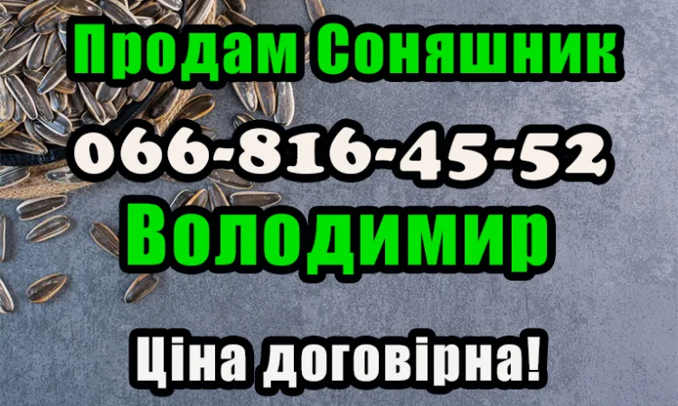 Підприємство реалізує соняшникове насіння! Ціна договірна (від обсягу) - фото № 1