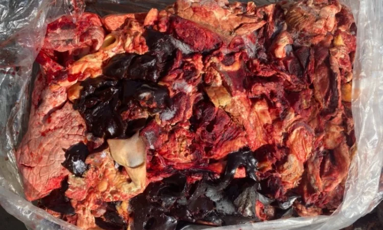 Куплю говяжью тех зачистку - фото № 1