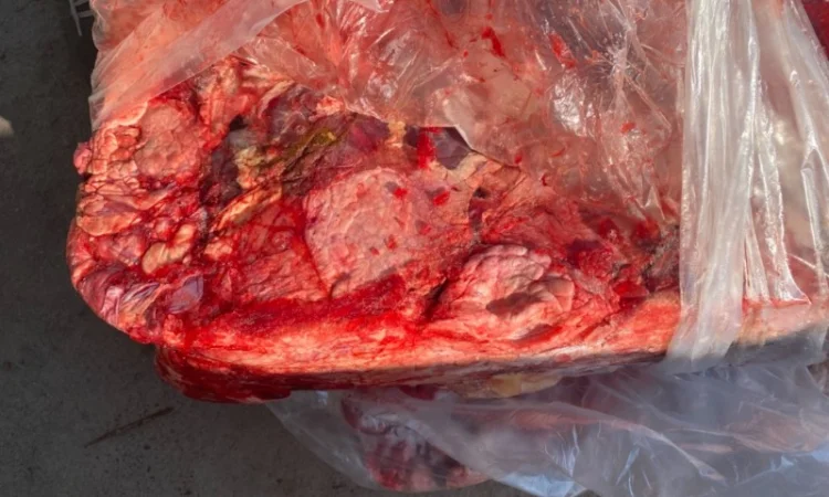 Куплю говяжью тех зачистку - фото № 2