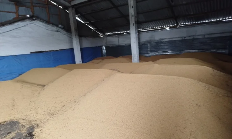 Соя ГМО высокого качества - фото № 1