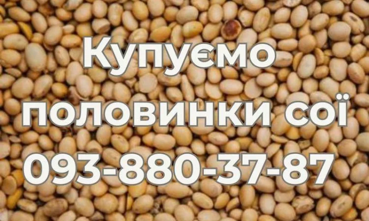 Закупаем половинки сои (оплата Ф1, Ф2) - фото № 1