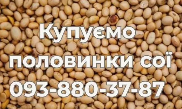 Купівля половинок сої на постійній основі - фото № 1