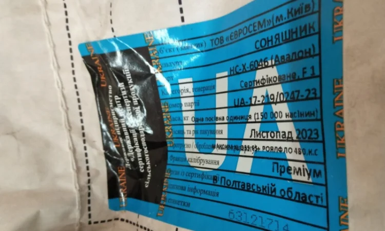 Продам насіння класичного соняшнику Авалон 2 п.о - фото № 1