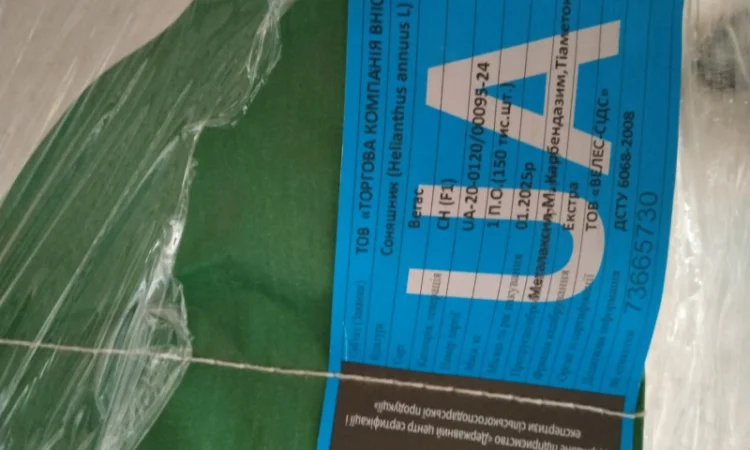 Продам насіння соняшнику Шенон - фото № 4