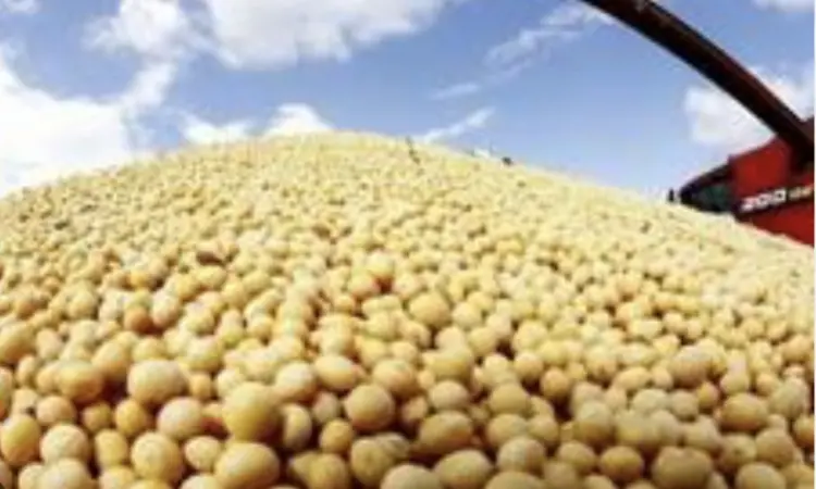 Закуповуємо сою - фото № 1