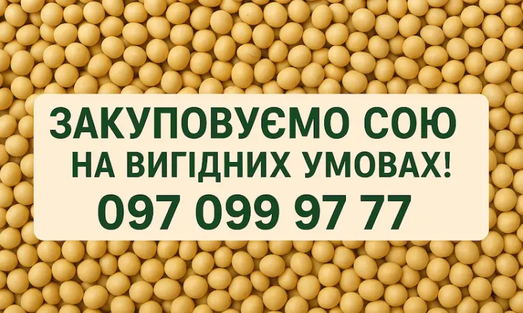 Закупівля сої на постійній основі з самовивозом - фото № 1