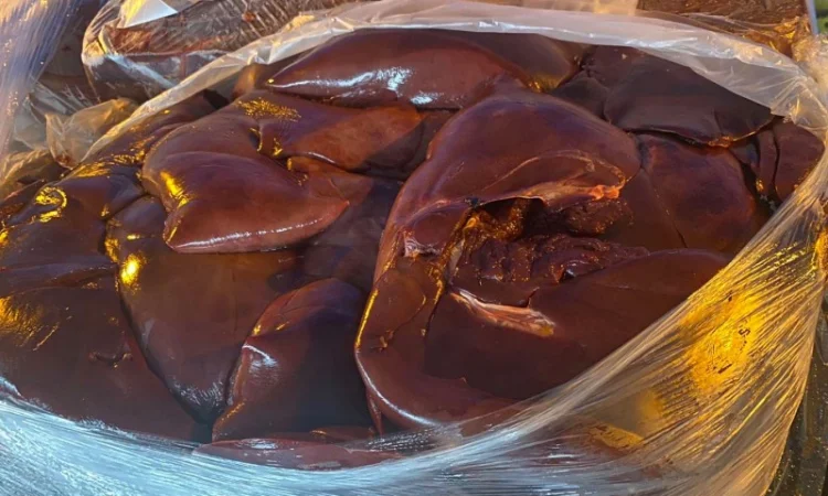 Печінка свиняча - фото № 1