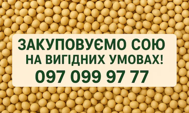 Закуповуємо сою на вигідних умовах - фото № 1