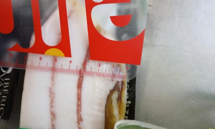 Продаем сало свиное с мясной прослойкой на шкуре соленое - фото № 1