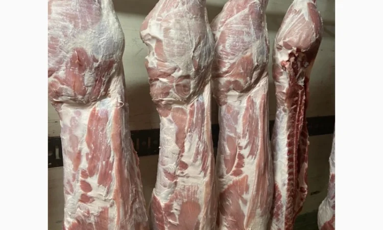 Полутуши - фото № 2