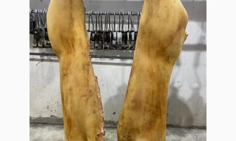 Полутуши - фото № 3