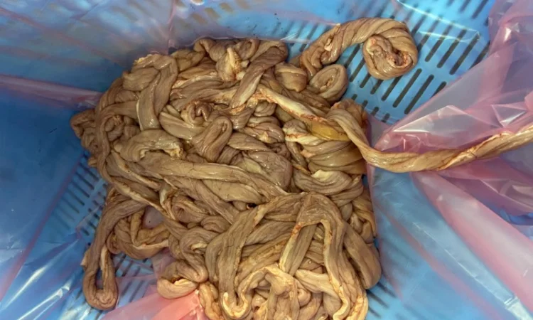 Свиная кишка тонкая - фото № 1