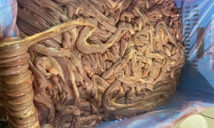 Свиная кишка тонкая - фото № 2