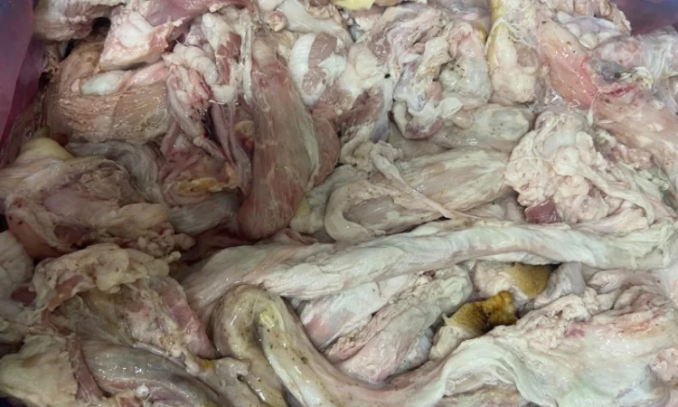 Свиной проходник - фото № 1