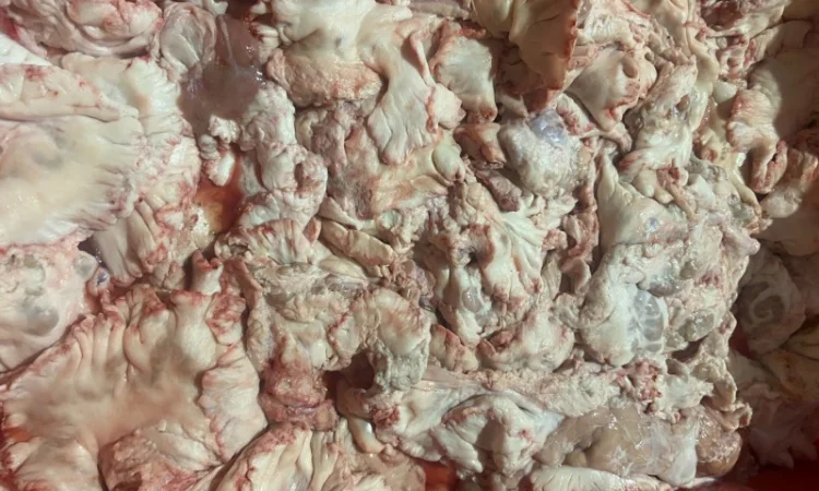 Свиной жир кишечный - фото № 1