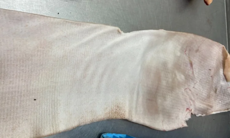 Качественная свиная шкура в продаже - фото № 2