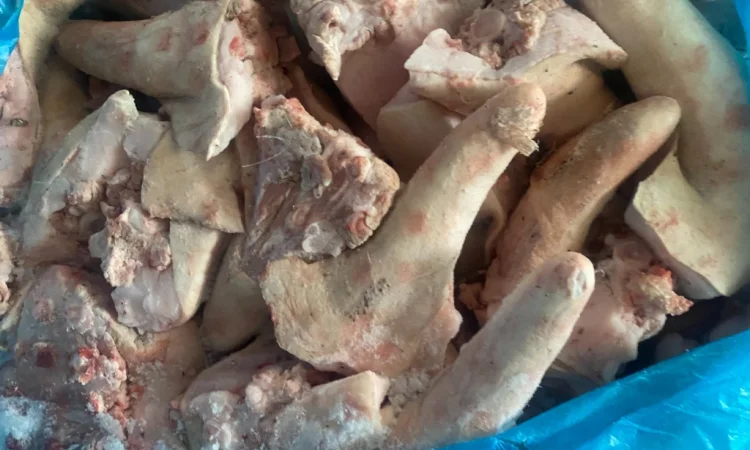 Продам хвіст свиний - фото № 1