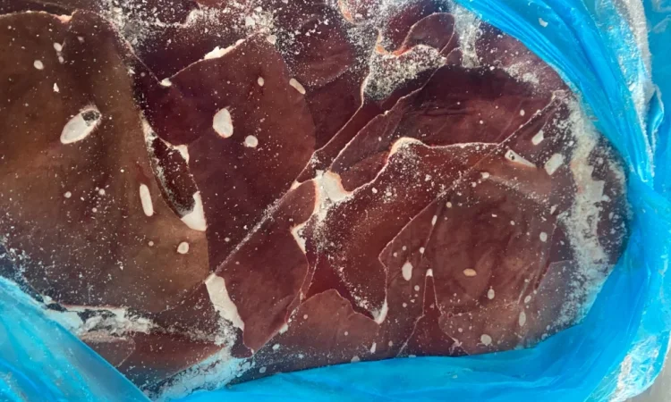 Продам печінку свину - фото № 1