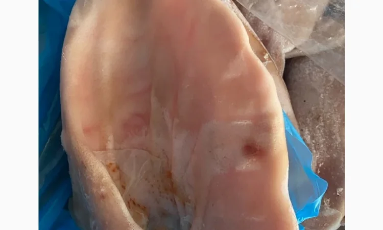 Продам вуха свині - фото № 1