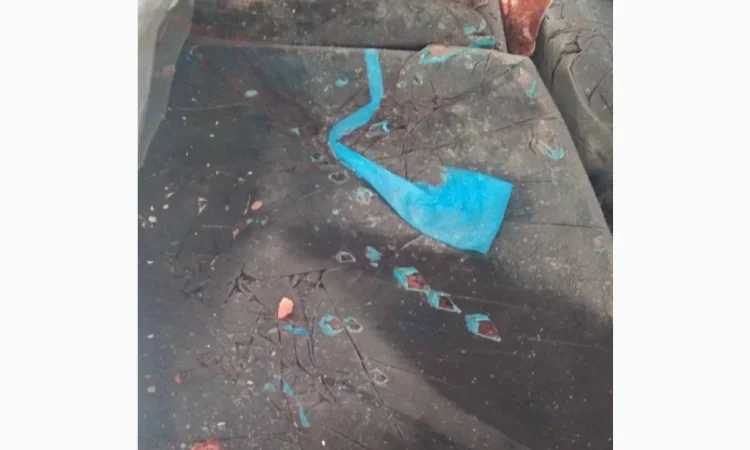 Продам кров свинячу - фото № 1