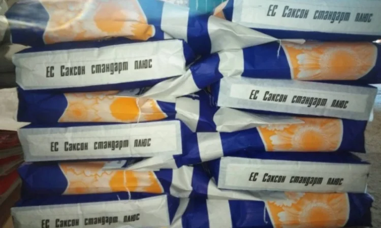 Соняшник ЕС Саксон - фото № 2