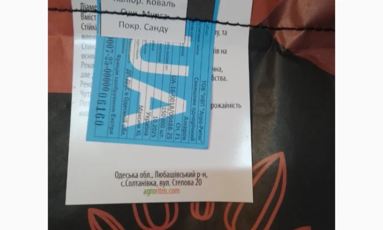 Соняшник Амарок під Гранстар - фото № 2