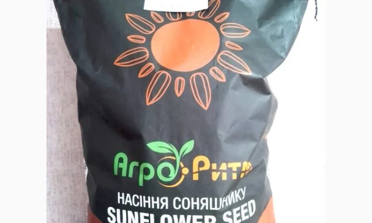 Соняшник Амарок під Гранстар - фото № 4