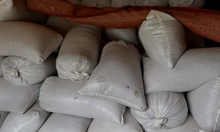 Продам сояшник - фото № 1