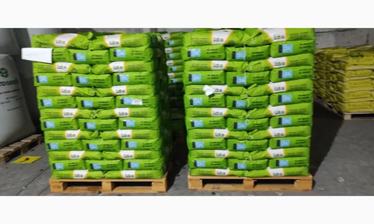 ЕС Белла - фото № 2