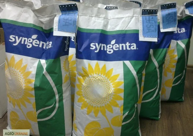 Семена подсолнечника "НК Делфи" - фото № 1