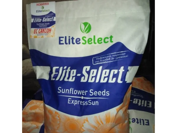 Насіння соняшника ЕС Саксон. Стійкий до 50 гр гранстар. 7+ Вовчок - фото № 1