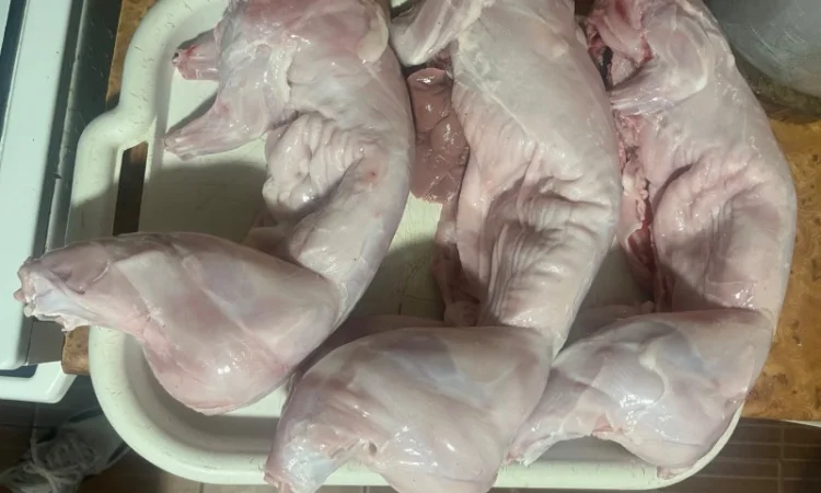 Домашнее мясо кролика на продажу - фото № 1