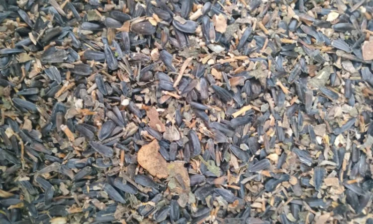 Куплю відходи соняшника - фото № 4