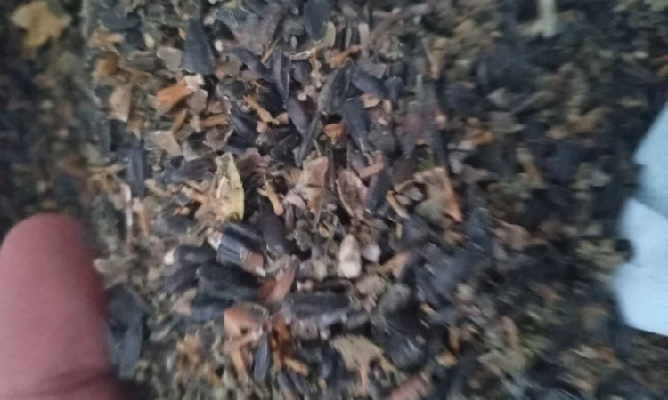 Купимо відходи соняшника - фото № 5