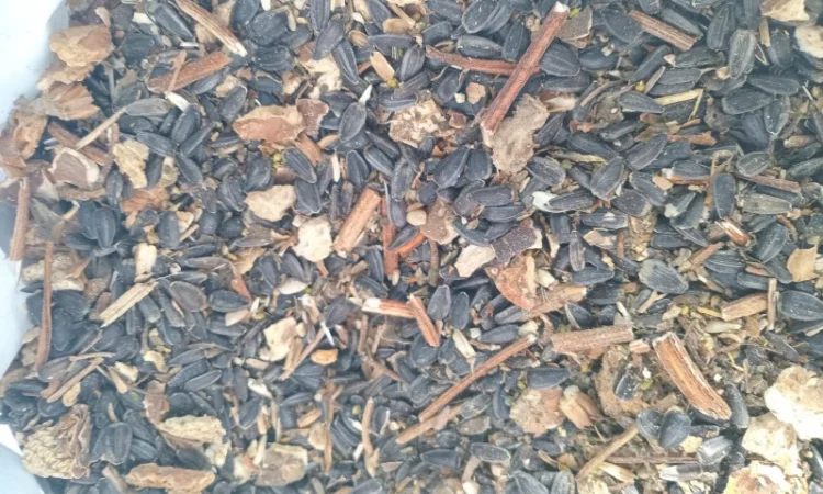 Купимо відходи соняшника - фото № 6