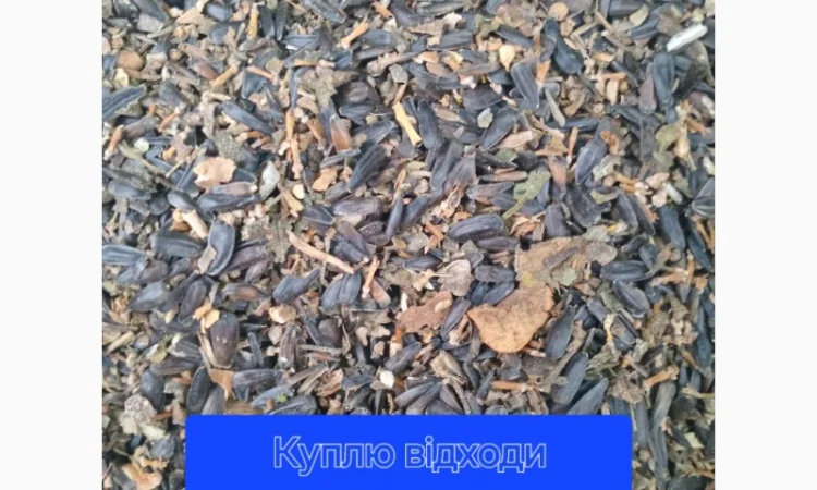 Підприємство купить ділові відходи соняшника - фото № 1