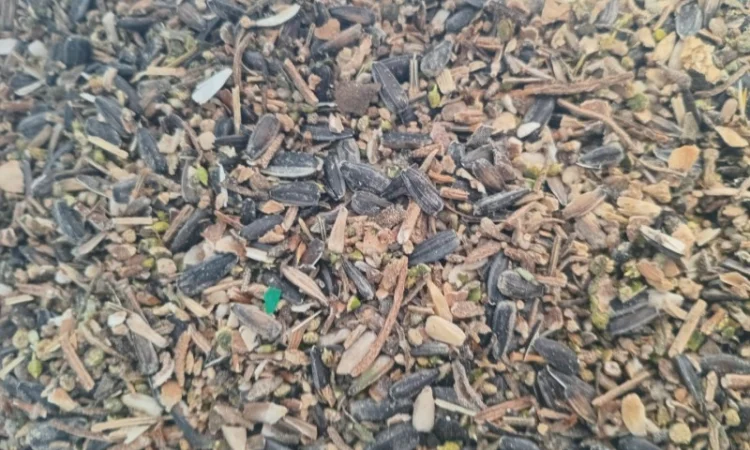 Підприємство купить ділові відходи соняшника - фото № 6