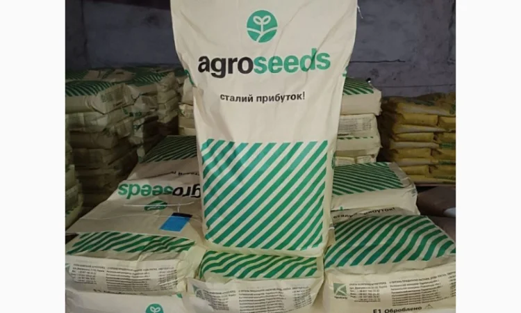 Насіння соняшнику Фуріус КЛП (Євролайтинг+) - фото № 1