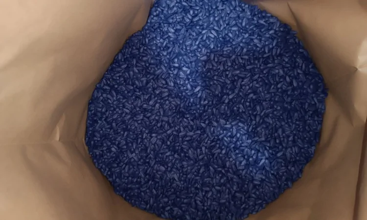 Насіння соняшнику Фуріус КЛП (Євролайтинг+) - фото № 3