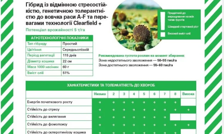 Насіння соняшнику Фуріус КЛП (Євролайтинг+) - фото № 4