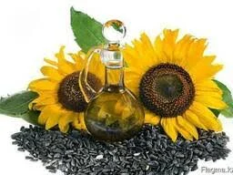 Куплю Соняшник по всій Україні Дорого Самовивіз - фото № 1