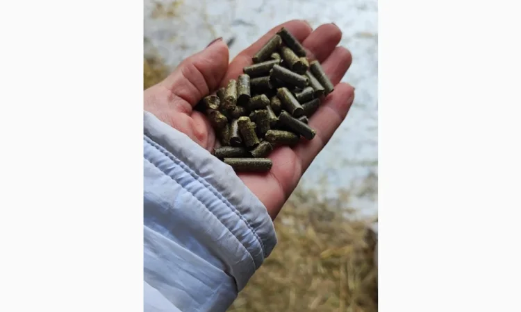 Гранулированная люцерна 6 мм для животных - фото № 1