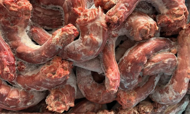 Шия індика - фото № 1