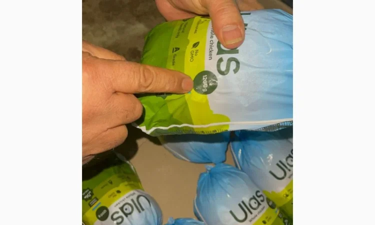 Продам бика замороженого з Польщі. Курку заморожену в Україні. Від постачальника - фото № 2