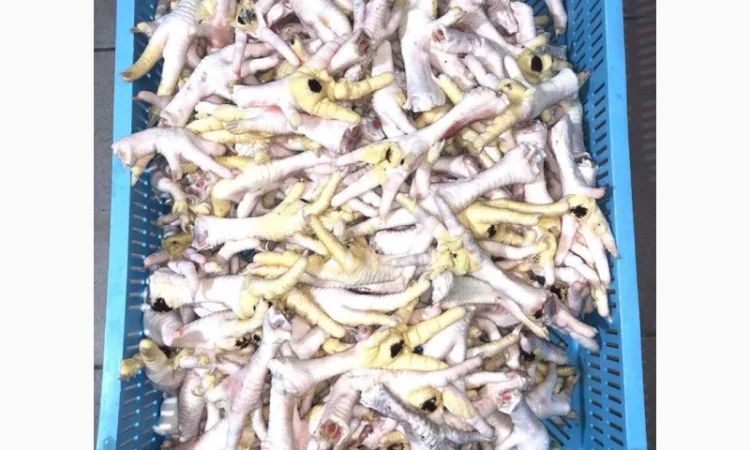 Продам куриные лапы от производителя в Волынской области с 3 тонн. По Украине - фото № 1