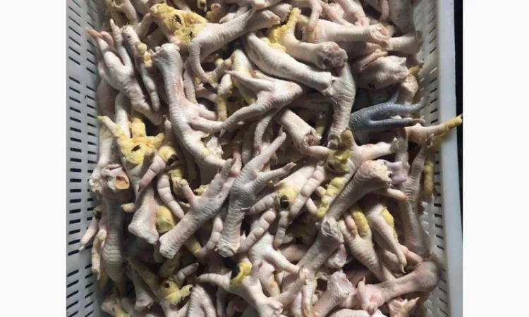 Продам куриные лапы от производителя в Волынской области с 3 тонн. По Украине - фото № 3