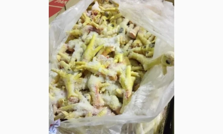 Продам лапки куринные от производителя с 5 тонн - фото № 4